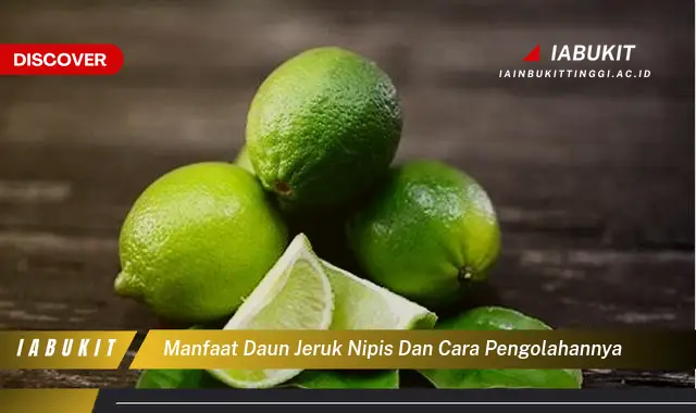 manfaat daun jeruk nipis dan cara pengolahannya