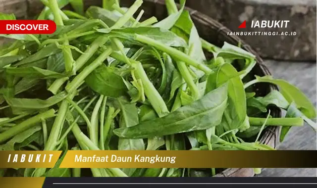 manfaat daun kangkung