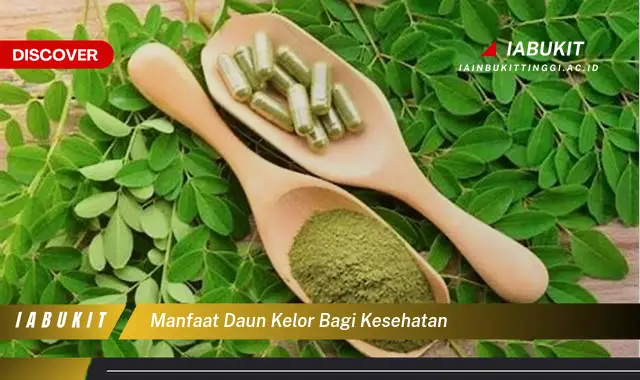 manfaat daun kelor bagi kesehatan