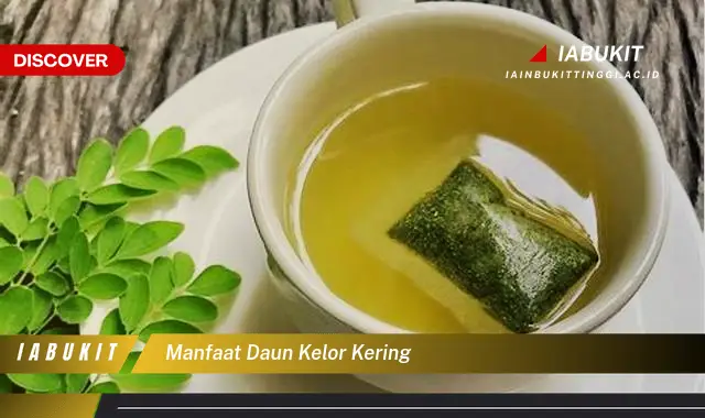 manfaat daun kelor kering