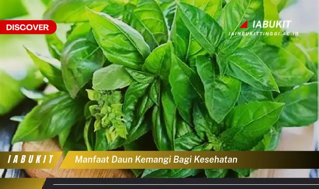 manfaat daun kemangi bagi kesehatan