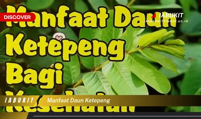 manfaat daun ketepeng