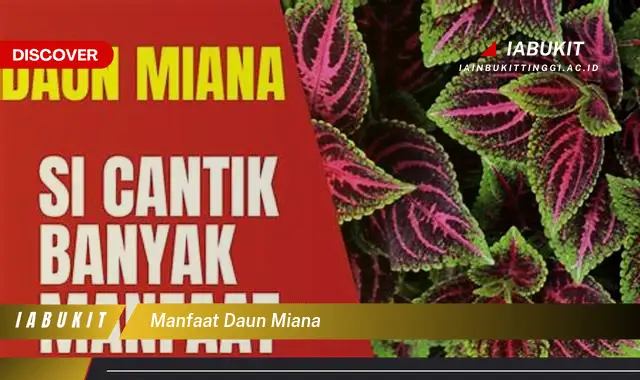 manfaat daun miana