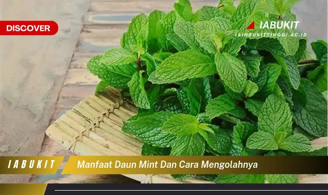 manfaat daun mint dan cara mengolahnya