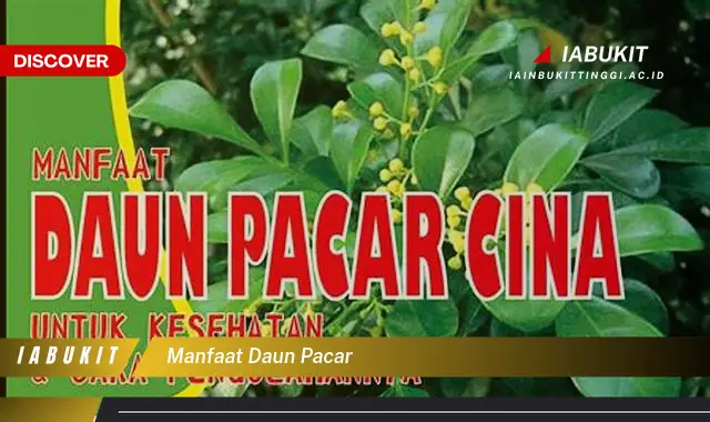 manfaat daun pacar