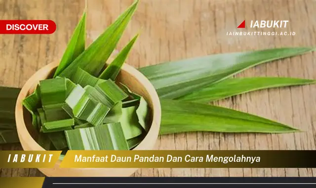 manfaat daun pandan dan cara mengolahnya