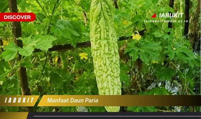 manfaat daun paria