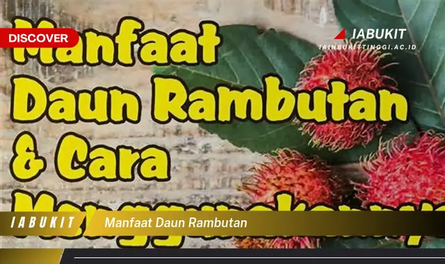 manfaat daun rambutan