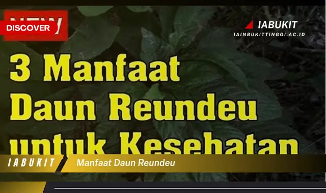 manfaat daun reundeu