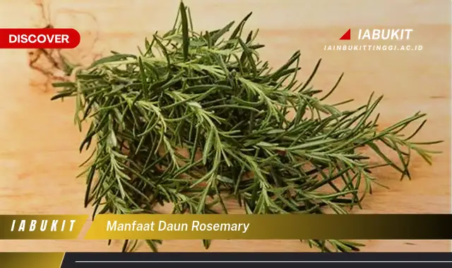 manfaat daun rosemary