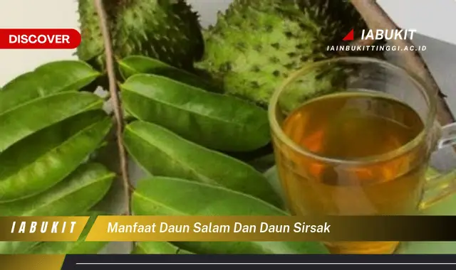 manfaat daun salam dan daun sirsak