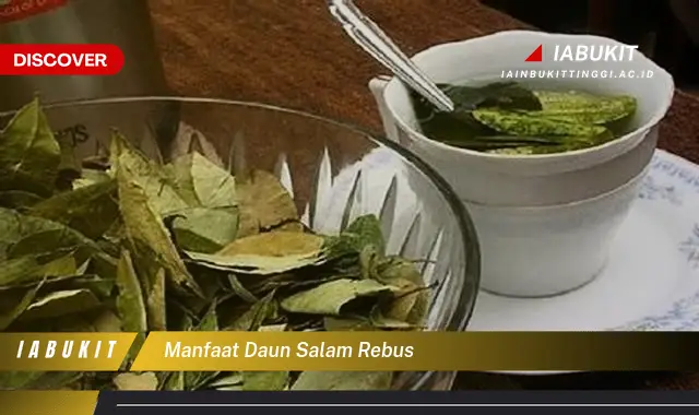 manfaat daun salam rebus