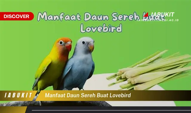 manfaat daun sereh buat lovebird