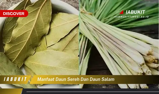 manfaat daun sereh dan daun salam