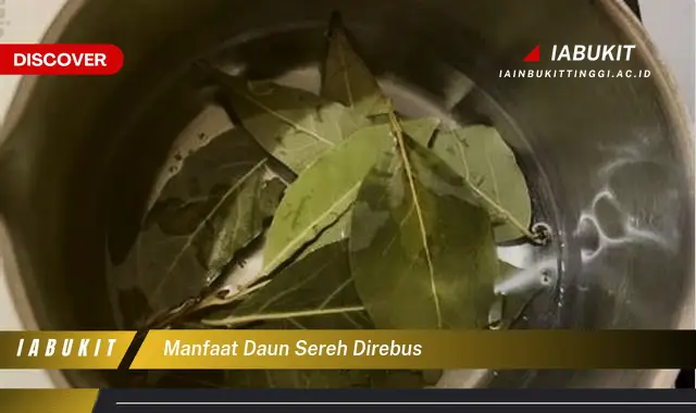 manfaat daun sereh direbus