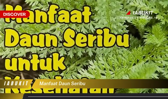 manfaat daun seribu