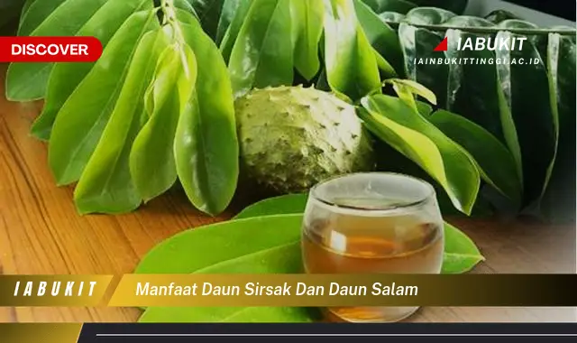 manfaat daun sirsak dan daun salam