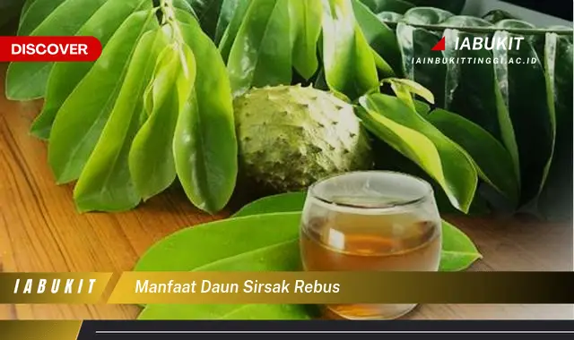 manfaat daun sirsak rebus