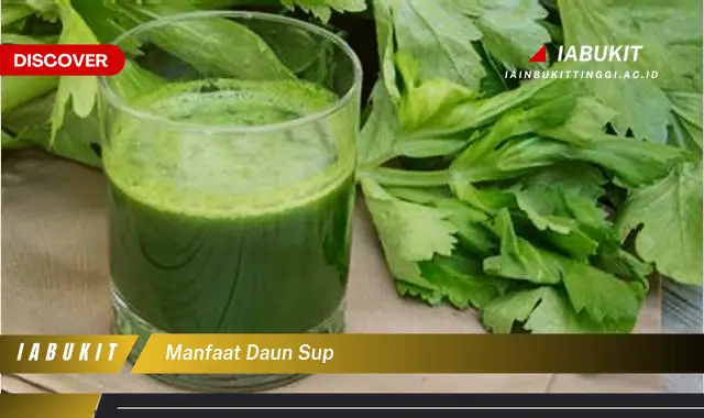 manfaat daun sup