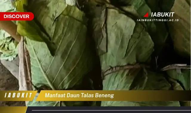 manfaat daun talas beneng