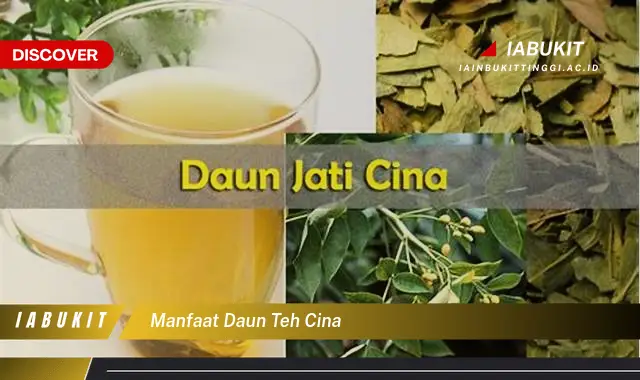 manfaat daun teh cina