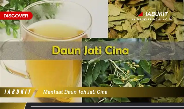 manfaat daun teh jati cina