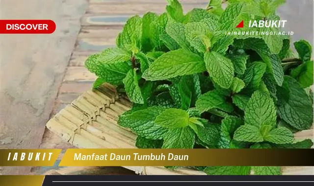 manfaat daun tumbuh daun