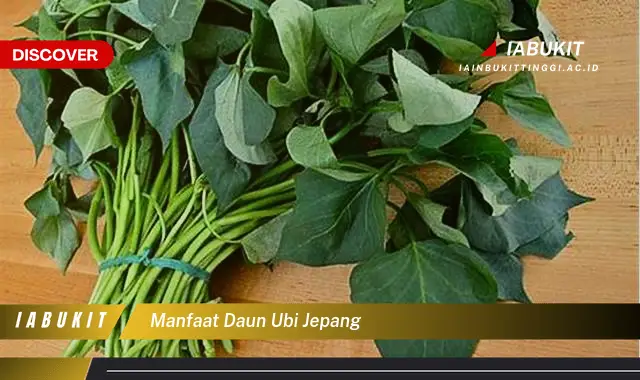 manfaat daun ubi jepang