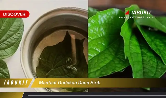 manfaat godokan daun sirih