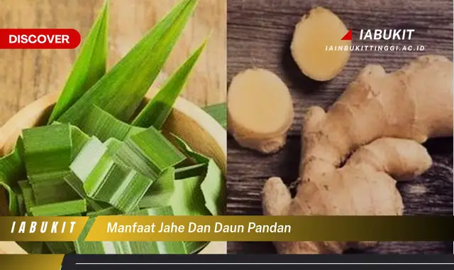 manfaat jahe dan daun pandan