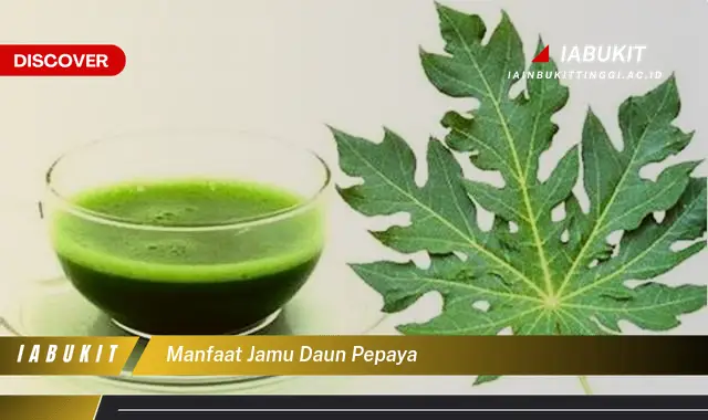 manfaat jamu daun pepaya