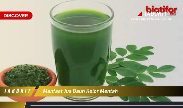 manfaat jus daun kelor mentah