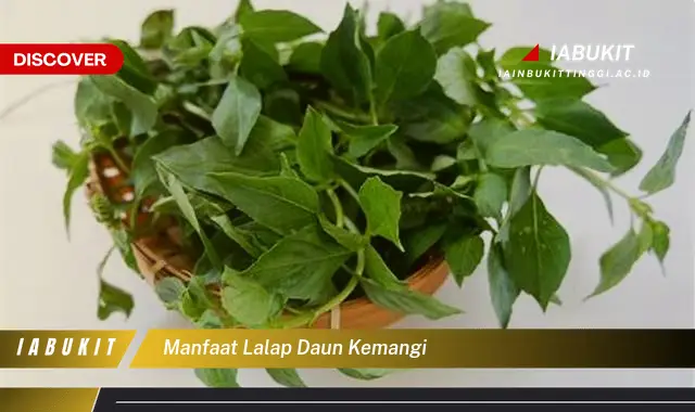 manfaat lalap daun kemangi