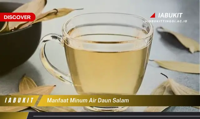 manfaat minum air daun salam