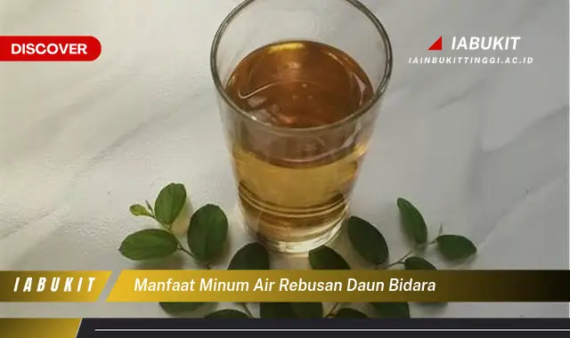 manfaat minum air rebusan daun bidara