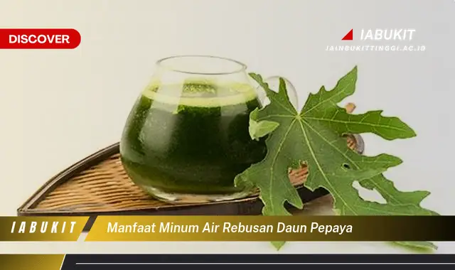 manfaat minum air rebusan daun pepaya