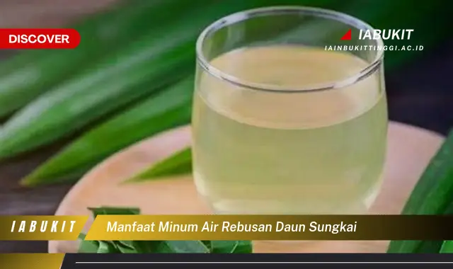 manfaat minum air rebusan daun sungkai