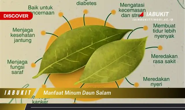 manfaat minum daun salam