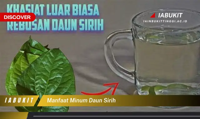 manfaat minum daun sirih