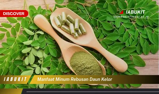 manfaat minum rebusan daun kelor