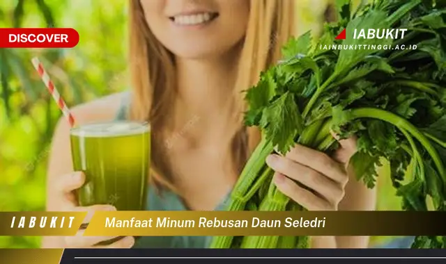 manfaat minum rebusan daun seledri