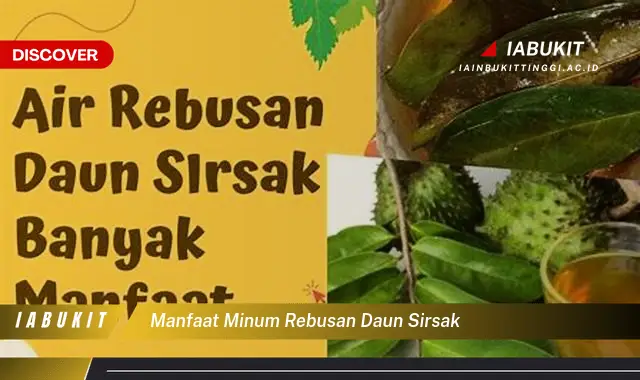 manfaat minum rebusan daun sirsak