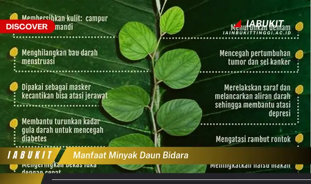 manfaat minyak daun bidara