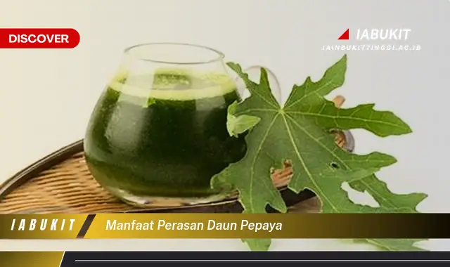 manfaat perasan daun pepaya