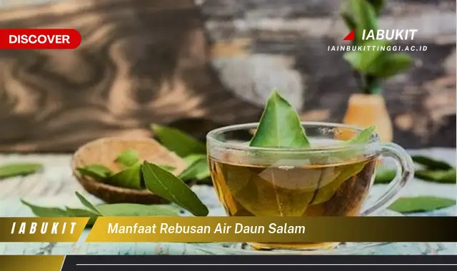 manfaat rebusan air daun salam