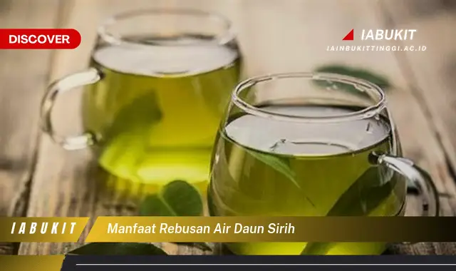 manfaat rebusan air daun sirih