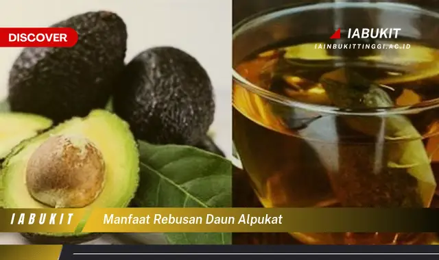 manfaat rebusan daun alpukat