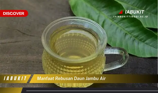 manfaat rebusan daun jambu air