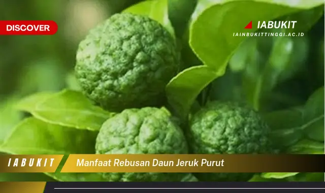 manfaat rebusan daun jeruk purut