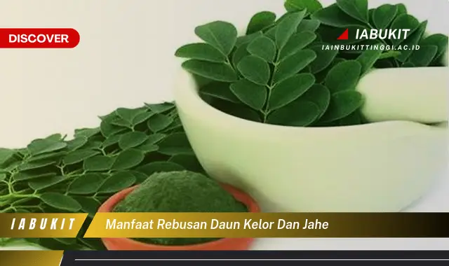 manfaat rebusan daun kelor dan jahe